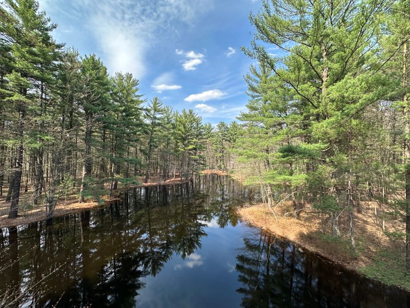 Dow Gardens, Midland