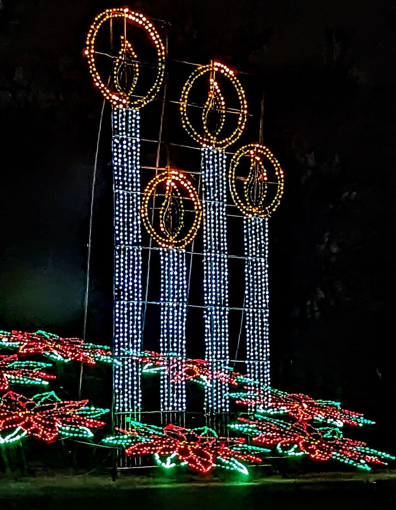 Wayne County Lightfest