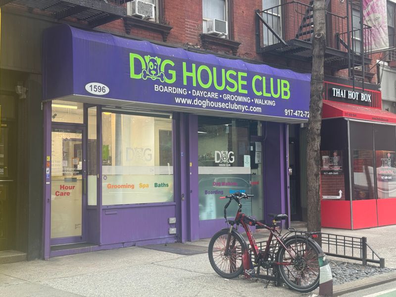NY Dog House
