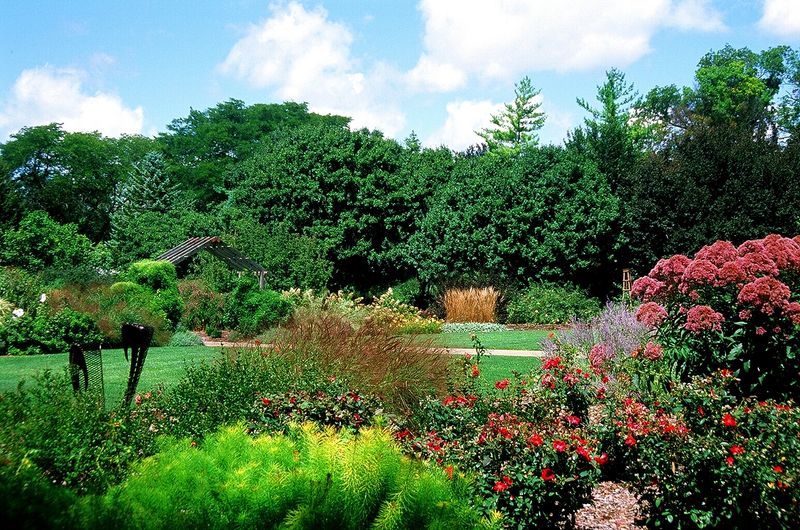 The Five-Acre Spring Landscape
