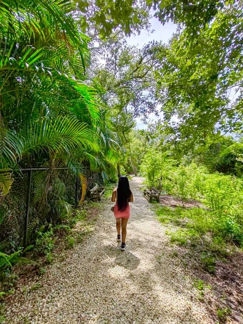 Free Admission And Easy Visiting Tips