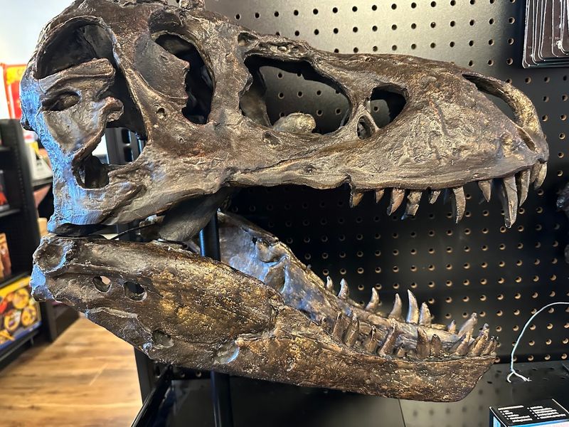 The Gift Shop Is Genuinely Worth Exploring