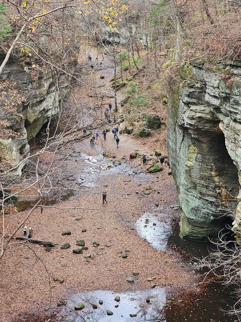 Wildlife Sightings Are A Regular Part Of The Experience