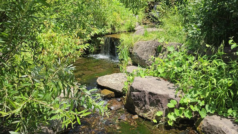 Free Admission That Feels Almost Too Good To Be True
