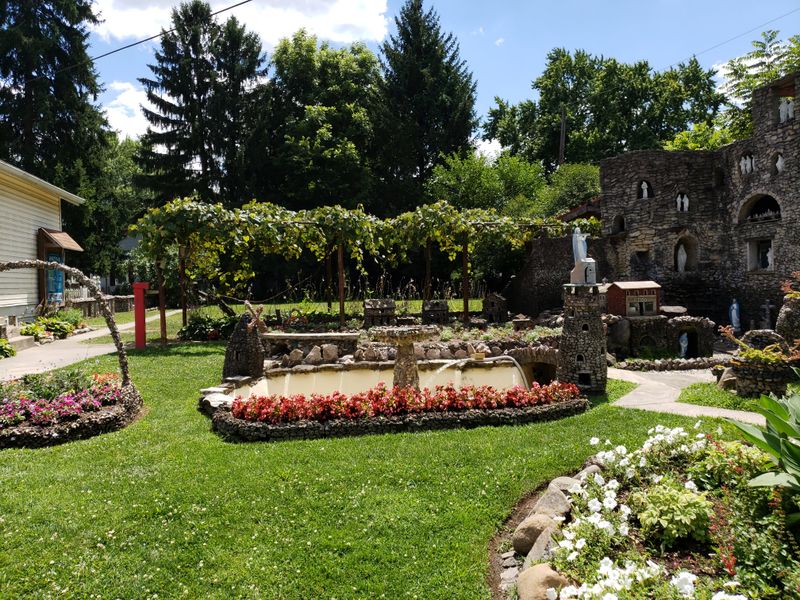 A Backyard Surprise in a Residential Neighborhood