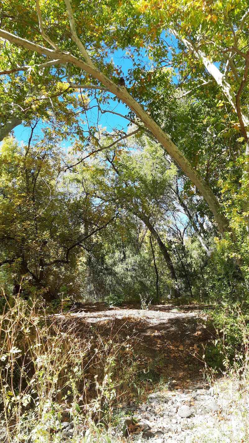 Free Camping On A First-Come Basis