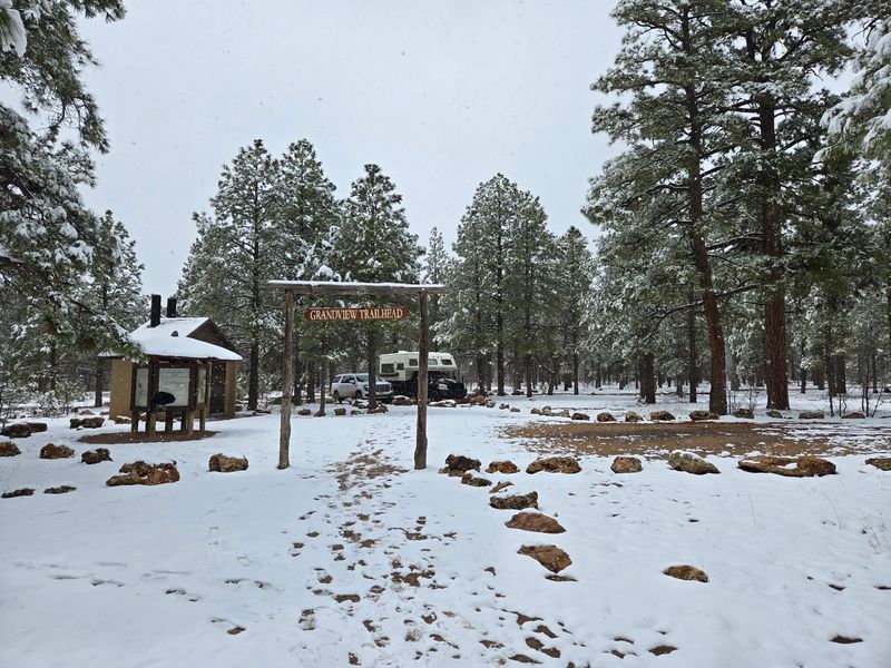 Free Camping Under the Pines