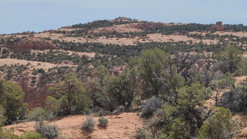 Free Campsites Under Pinyon And Juniper Shade