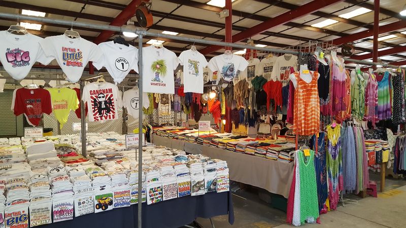 Live Alligators And Unique Animal Experiences