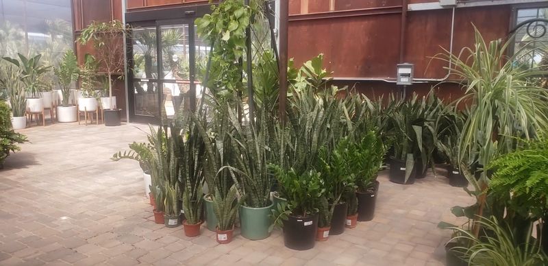Free Educational Gardening Workshops Free Educational Gardening Workshops