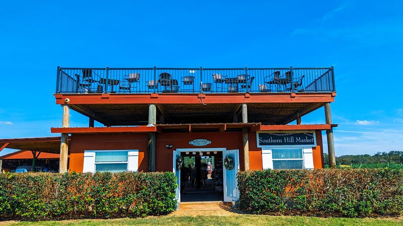 Free Entry Means Everyone Gets To Enjoy The Fields