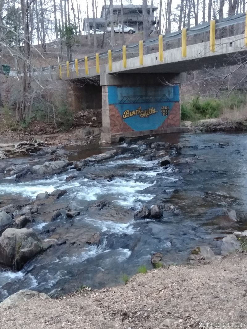 Free Fishing And Fishy Pedicures