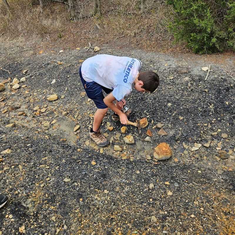 Trilobites And Other Rare Finds Await