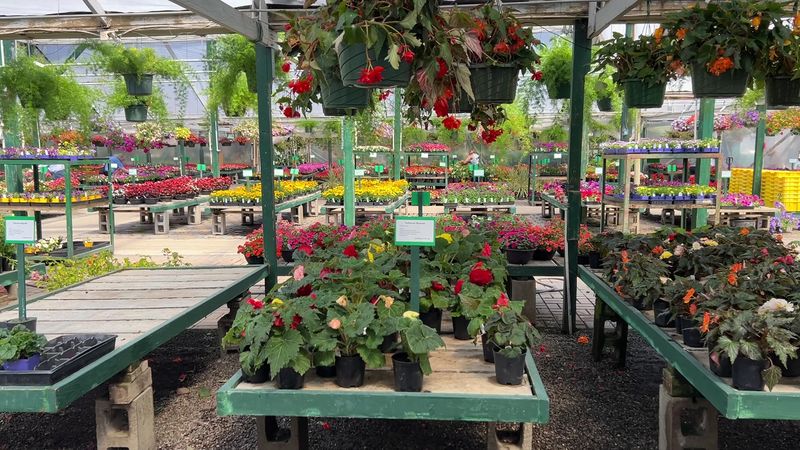 Free Gardening Clinics And Community Events Free Gardening Clinics And Community Events