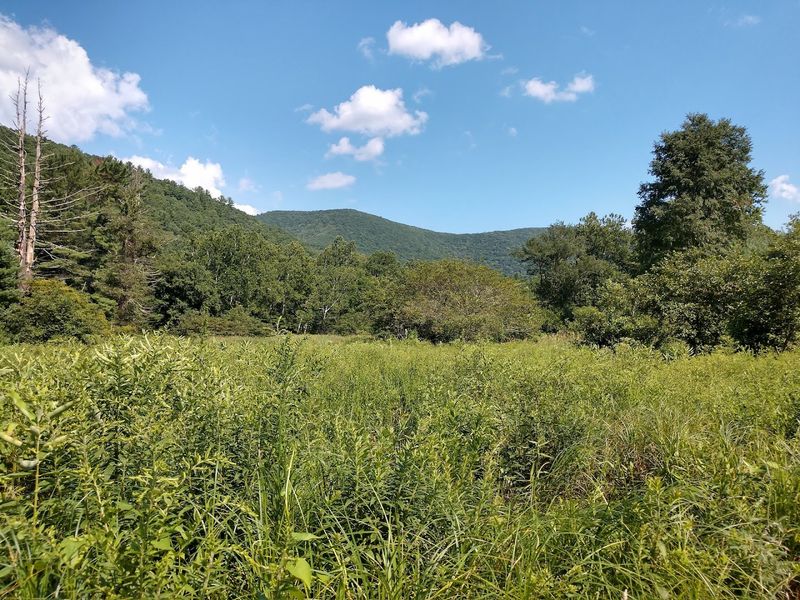 Stargazing Here Is Extraordinary