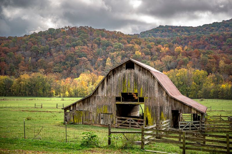Weathered Barns And Corncribs From Nineteenth Century Life