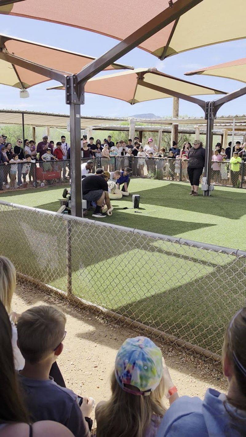 Educational Wildlife Encounters