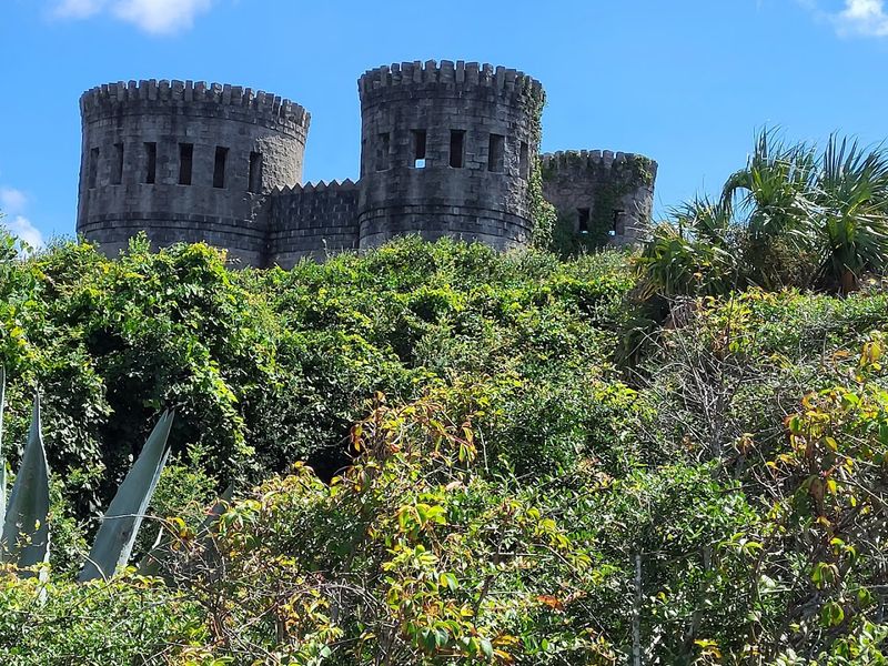 A Living Sculpture In The Landscape