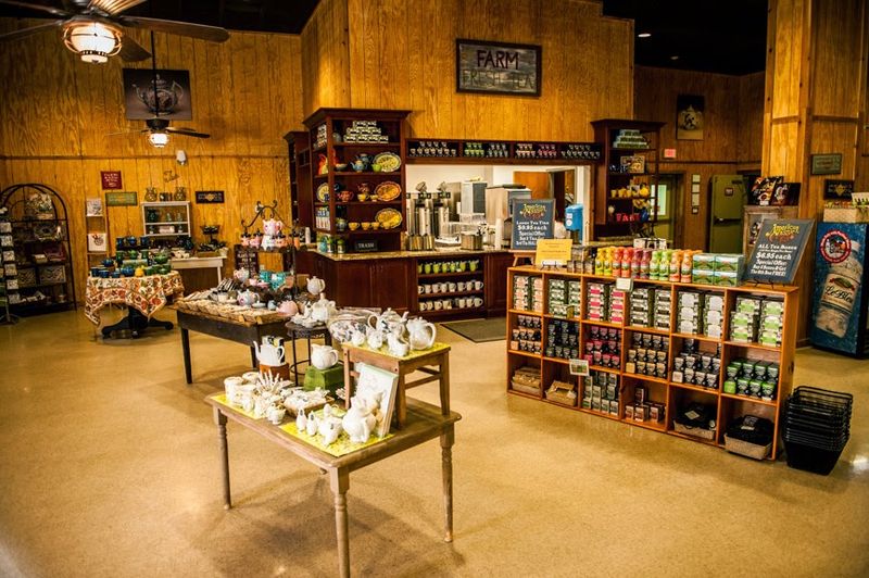 Free Tea Tastings You Can Refill Free Tea Tastings You Can Refill