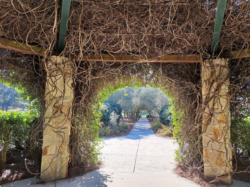 Wildlife And Nature All Around You