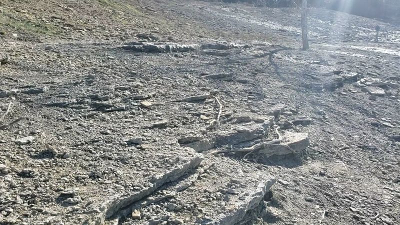 Best Times to Visit and What to Expect