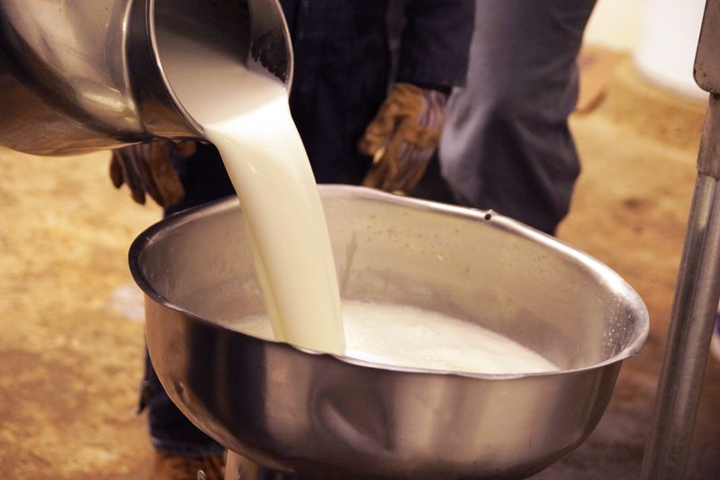 Raw Milk: The Controversial Dairy Debate