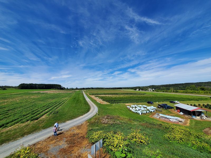 Fresh Air And Open Space