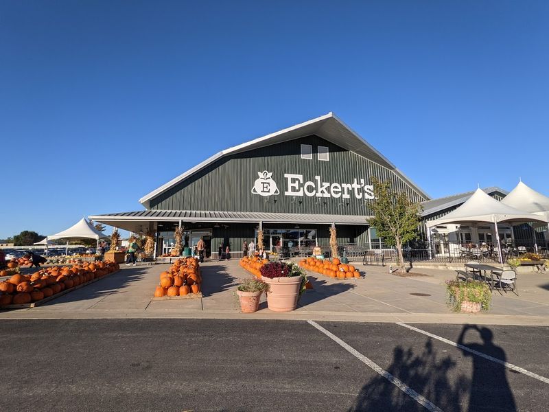 The Menu Covers Classic American Comfort Food 