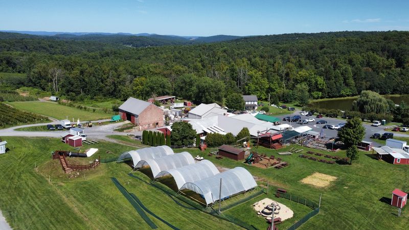 Visitors Drive From Multiple States Just For A Box