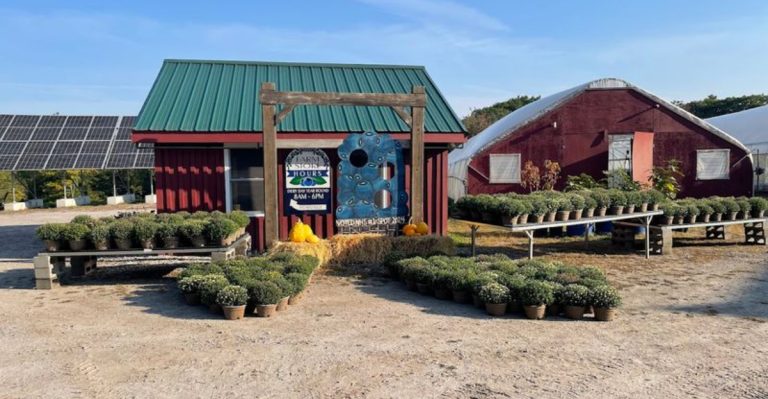 Fresh Blueberries, Warm Pies, And Classic Family Fun In Rural New Hampshire