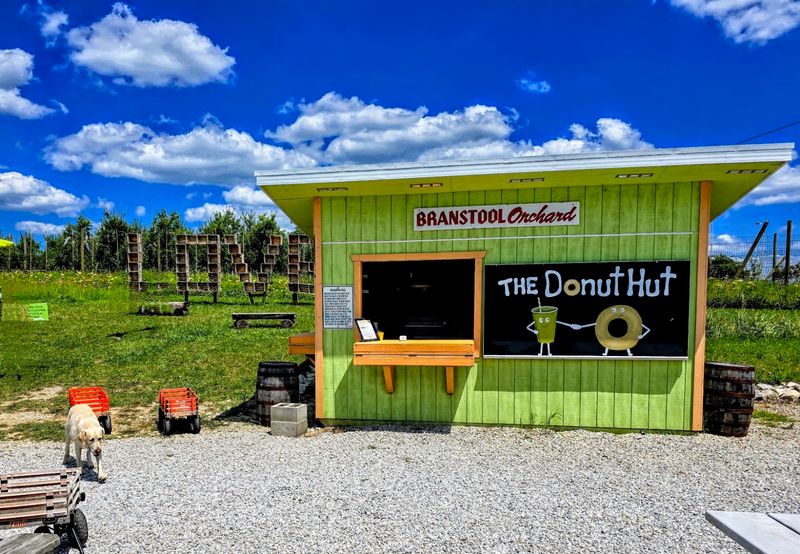 Fresh Cake Donuts That Deserve Their Own Fan Club