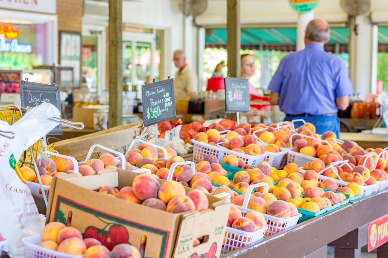 Fresh Chilton County Peaches Straight From The Source