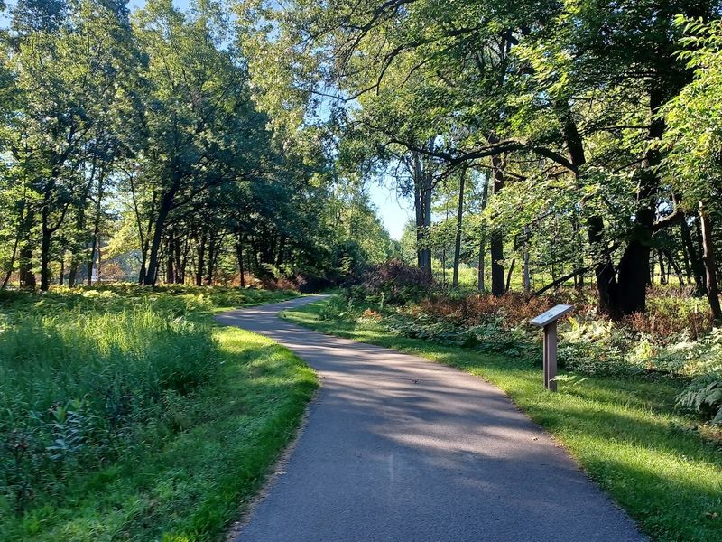 Bay City State Park Bob Ross Run Or Walk For The Trees, Bay City