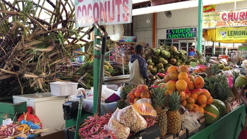 Fresh Coconuts And A Tropical Farmers Market