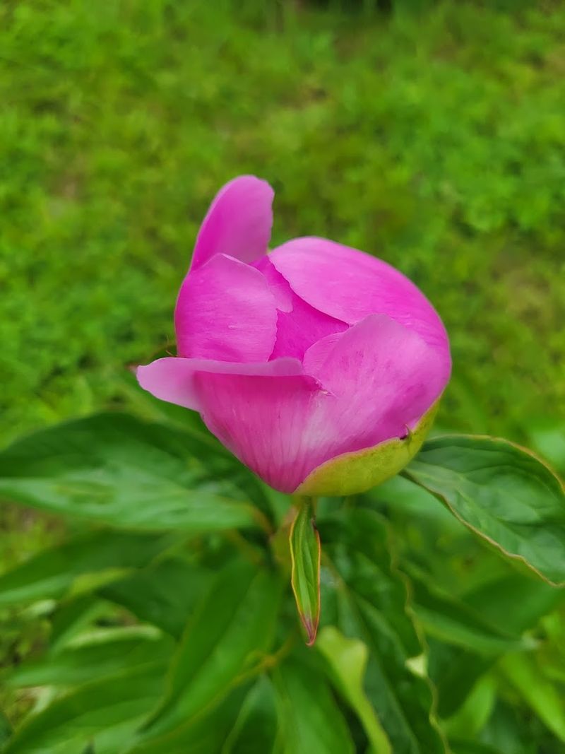 A Welcoming Atmosphere