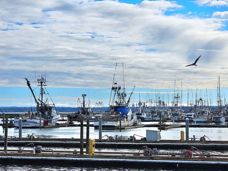 Westport, Washington: The Town Behind The Bowl