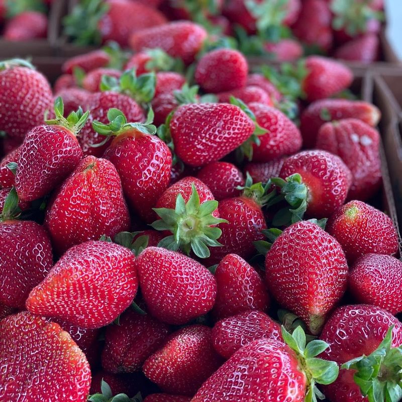 Sun-Ripened Berries Bursting With Flavor