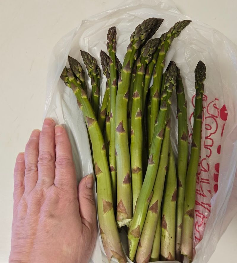 Fresh Michigan Asparagus Bundles