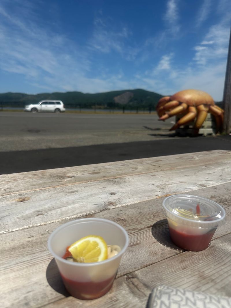 Fresh Oysters, Boat To Table