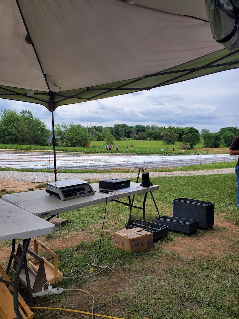 Simple Outdoor Setting Creates A Relaxed Farm Day Experience