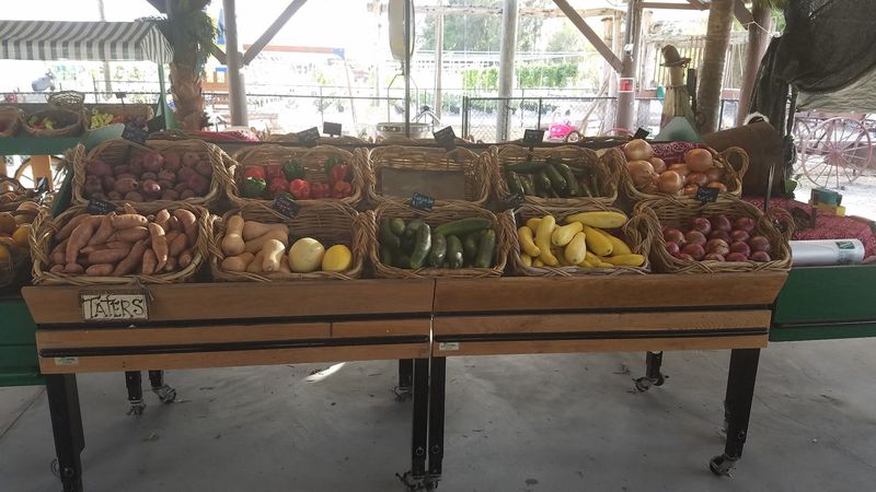 Fresh Picks And Farm Views At Southern Fresh Farms Fresh Picks And Farm Views At Southern Fresh Farms