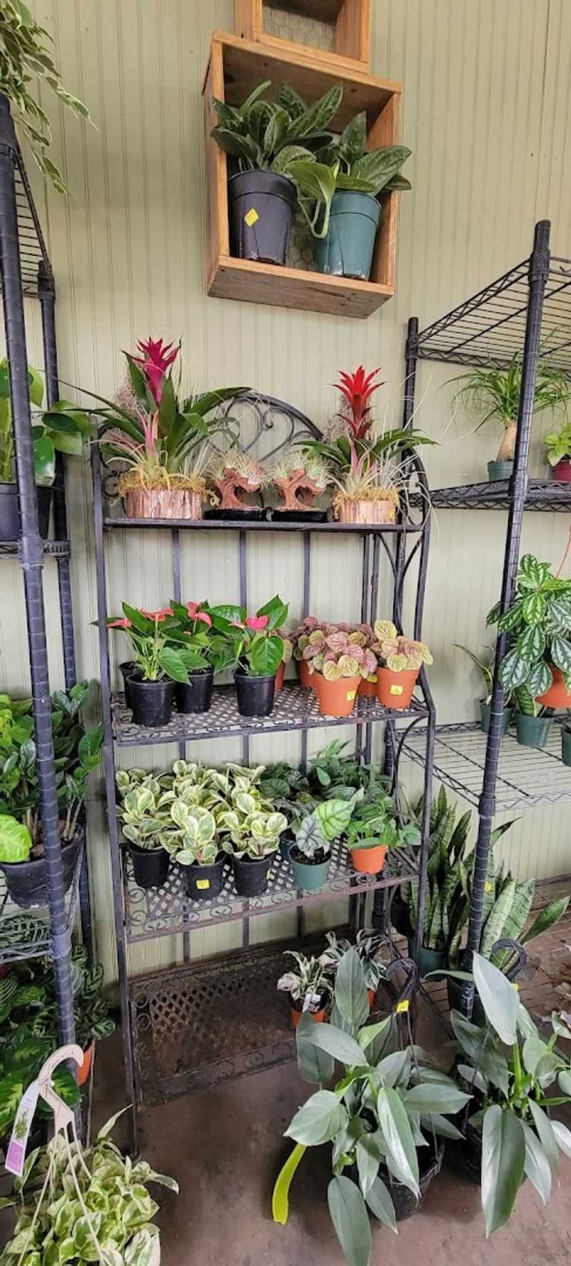 Fresh Produce And Plants Fill The Outdoor Aisles