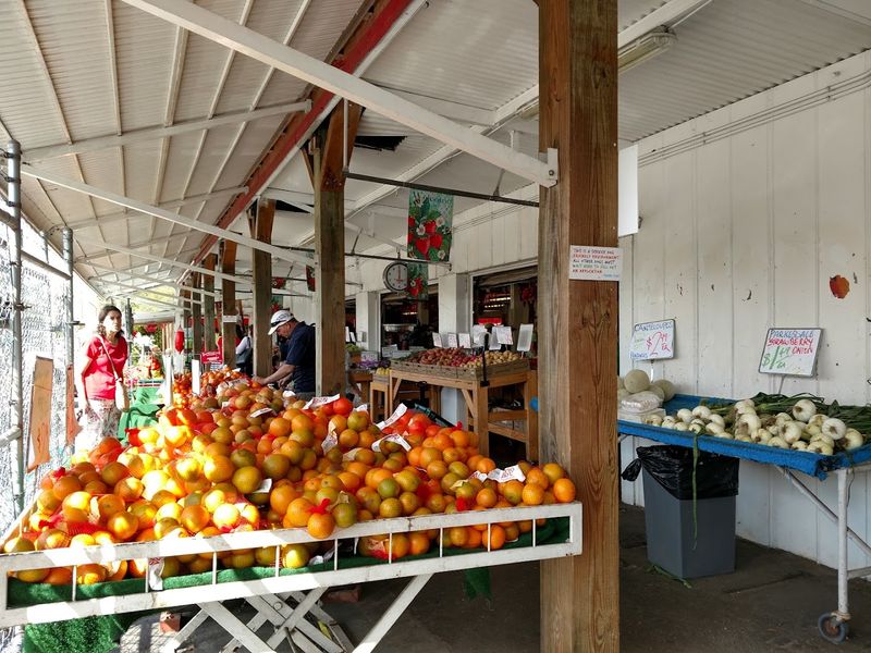 Fresh Produce Beyond Just Strawberries Fresh Produce Beyond Just Strawberries