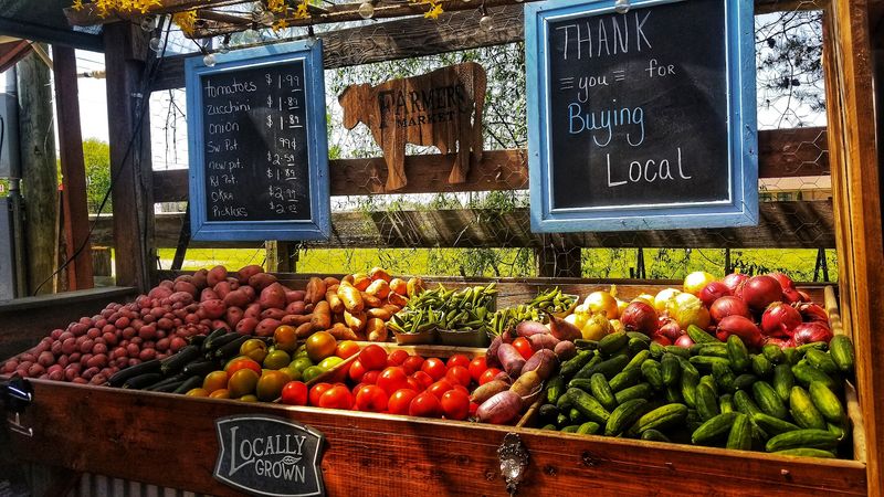 Fresh Produce Framed By Country Calm