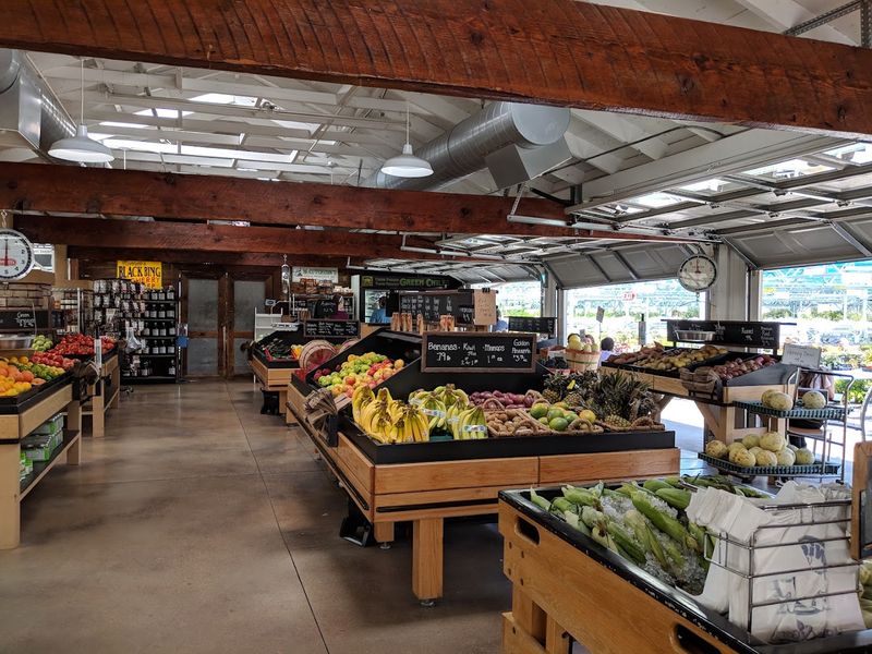 Fresh Produce That Earns Its Place in the Cart