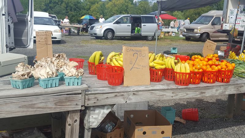 Fresh Produce That Keeps Regulars Coming Back Weekly