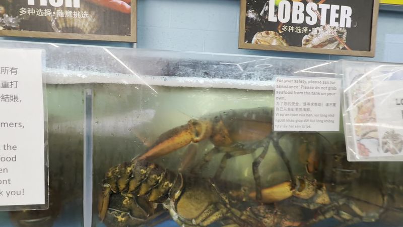 Fresh Seafood That Skips The Freezer