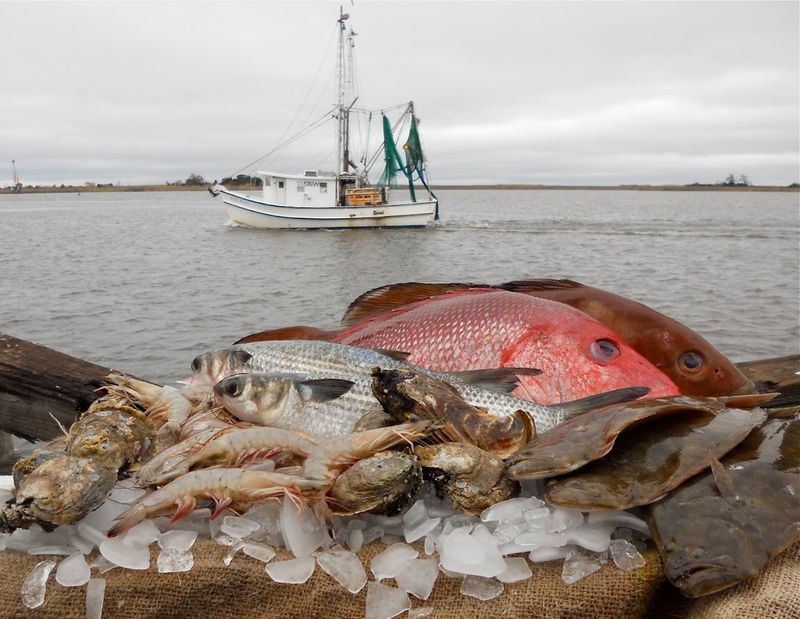 Fresh Seafood That Spoils You For Everywhere Else