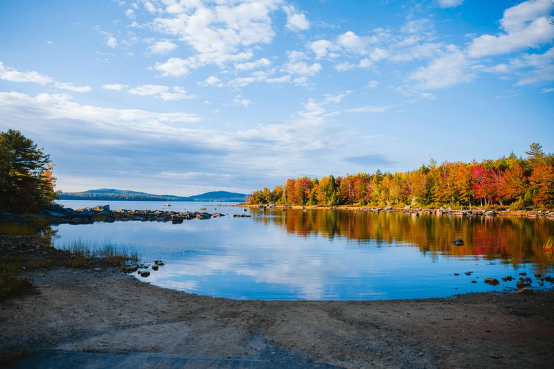 Fall Foliage