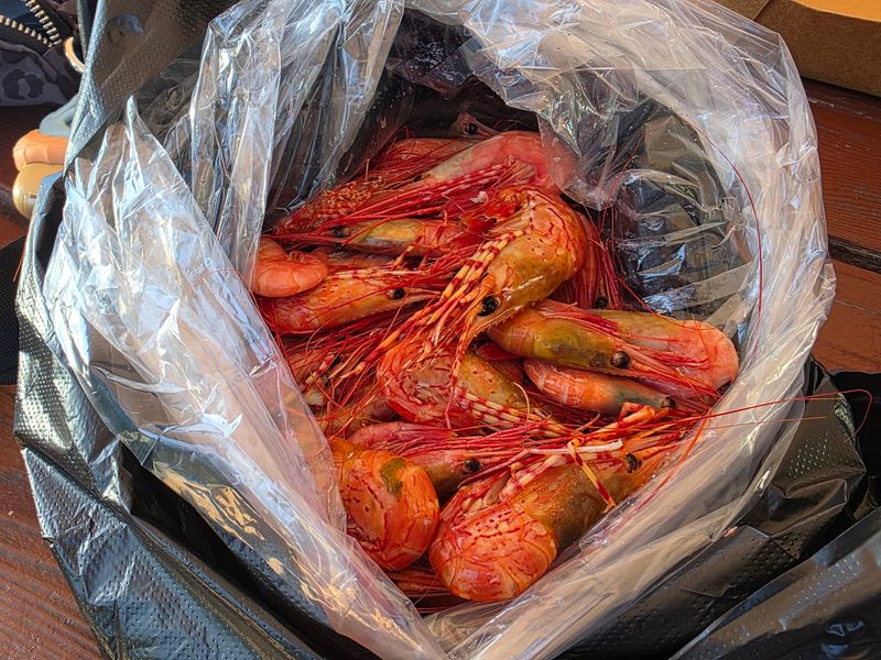 Fresh Shrimp Sold By The Pound Fresh Shrimp Sold By The Pound